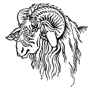 盘羊图片-盘羊素材-盘羊插画-摄图新视界