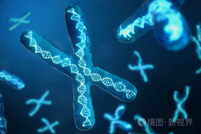 3d 插图 x 染色体携带基因编码的 dna.遗传学概念, 医学概念.未来基因