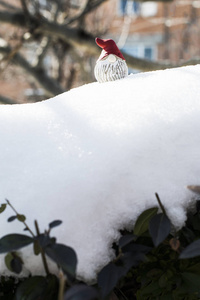 抽象圣诞节侏儒在雪