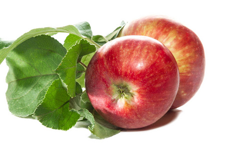 在白色背景上的两个成熟的苹果