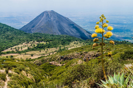 izalco火山救世主