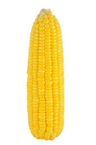 单个玉米