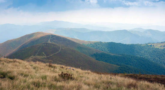 Borzhavsky 山脉的美丽景色, 乌克兰。夏日阳光下的山谷全景