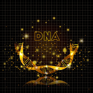 dna 分子半圆金结构