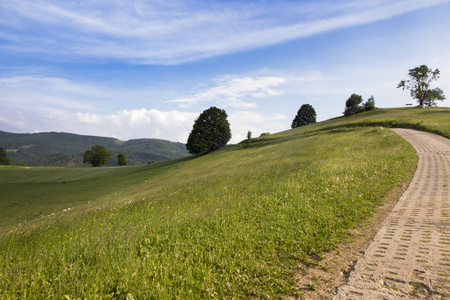 山与路, 看法 Beskid Slaski 山, 区域 Wisla Malinka 在波兰