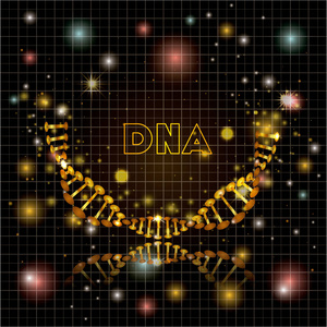 dna 分子半圆金结构