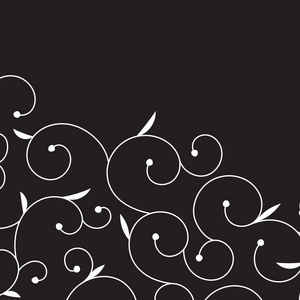 向量抽象白色漩涡花卉边框在黑色背景。装饰向量边框。页面装饰