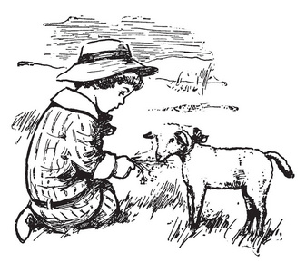 男孩和绵羊, 这个场景显示一个男孩喂羊, 复古线条画或雕刻插图照片