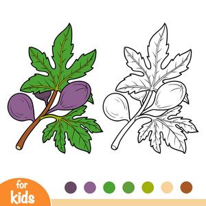 着色书为孩子, 无花果树分支照片