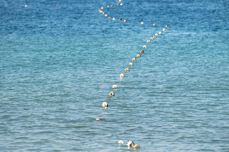 海水海滩上的浮标