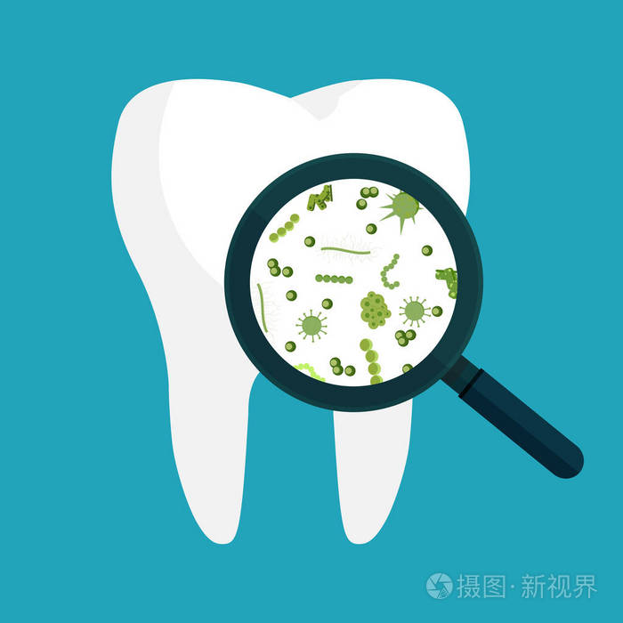 矢量插图.在放大镜上查看人类白牙齿上的细菌
