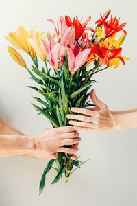 人的手给 woma 公司拥有的手在白色背景上的花朵花束