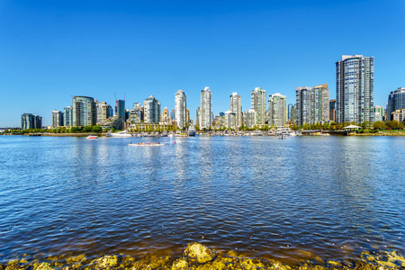 温哥华, 不列颠哥伦比亚省, 加拿大的天际线从假溪入口在晴朗的夏天看见