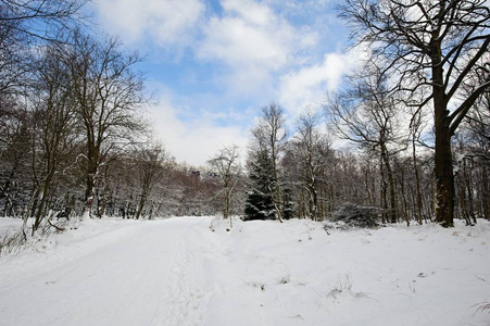 冬天的风景覆盖着雪和雪云