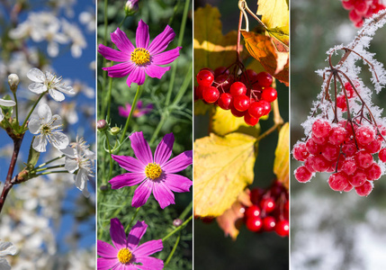 四季春光明四季春 夏 秋 冬摄影图