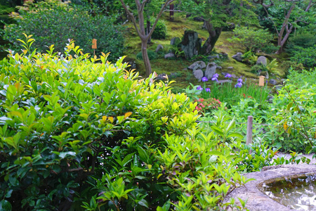 日本禅园户外石材装饰绿化植物和亭子