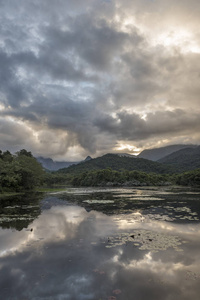 美丽的湖泊与山脉和野生自然景观, 大西洋雨林生态保护区在里约热内卢的农村附近的 Guapiacu, 巴西