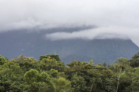 美丽的大西洋雨林景观, 在巴西 Guapiacu 附近里约热内卢郊区的生态保护区