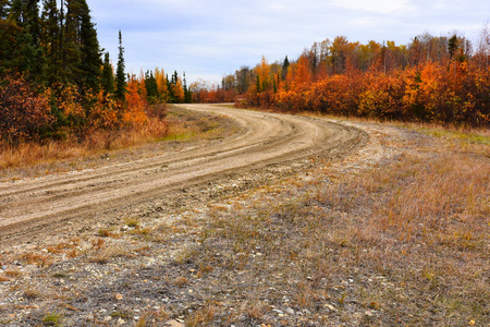 在乡村的一条古老的砾石路的图像与秋天有色树