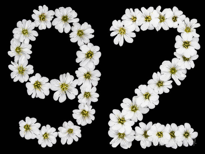 阿拉伯文数字 92, 九十二, 九十, 九, 二, 从白色花 cerastium to