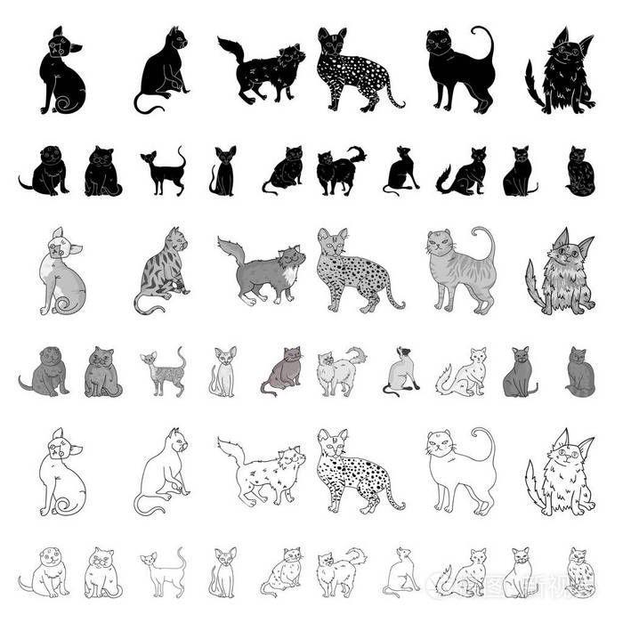 品种的猫卡通图标集收集设计.宠物猫矢量符号股票网页插图