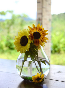 新鲜的束花, 从有机家庭花园。花瓶里的菊花和向日葵。美丽的家庭花卉花园在波多黎各
