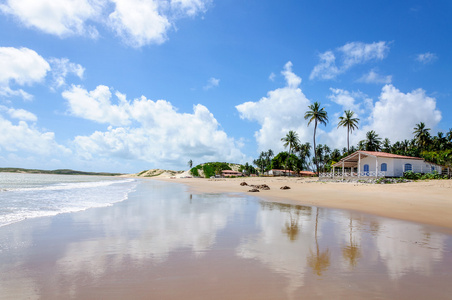 有沙丘的海滩和帕蒂廷加纳塔尔的房子巴西