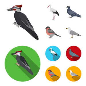 啄木鸟, 鹳和其他。鸟类集合图标在卡通, 平面式矢量符号股票插画网站