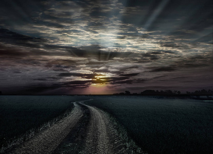 uiheynjde 的好风景。对夕阳的道路。小麦和草原草之间的道路。地平线上美丽的夕阳