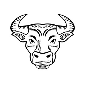 公牛头图标被隔绝在白色背景 (黑白线性).