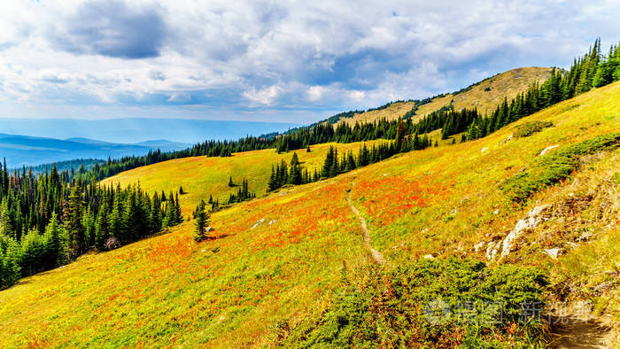 在加拿大不列颠哥伦比亚省舒斯瓦普高地太阳峰村附近的 tod 山上徒步