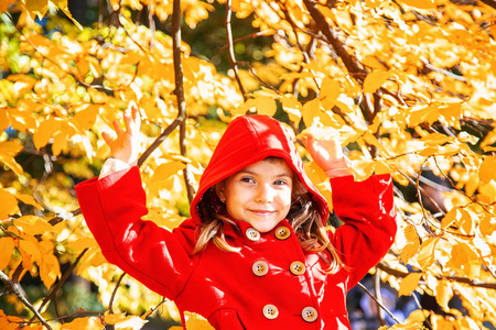 带着秋叶的红色大衣的孩子。爱秋。选择性对焦。自然
