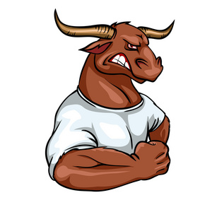 公牛吉祥物,球队标志照片