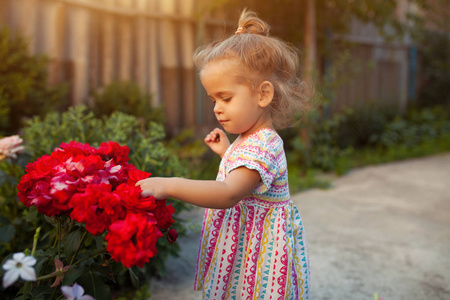 漂亮的小女孩，用玫瑰鲜花的肖像