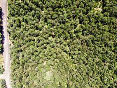 空中无人机视图森林方式在伊斯坦布尔 Yakacik。Uppser 城市生活的边
