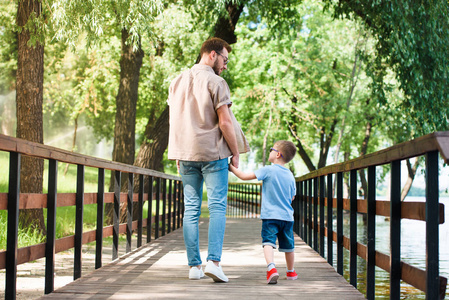 父亲与儿子的背观牵着手走在公园的桥上