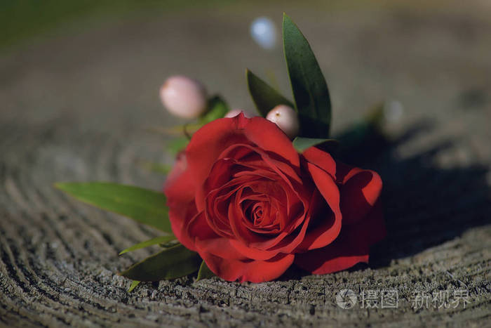 精致的红玫瑰小花束, 用于新郎和婚宴宾客, 在自然光线下放置在邮票上。神话般的, 传统的婚礼或订婚花卉安排的想法