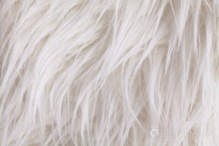 皮毛纹理