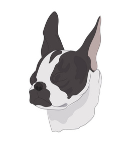 侧面眼睛素描图片