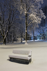 在利沃夫市中心的美丽的夜间冬季公园 乌克兰 与积雪覆盖的树木和长凳