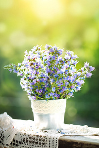 在夏日花园的花瓶里, 美丽的紫色花朵。夏日静物