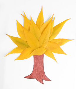 秋天树叶画名称图片