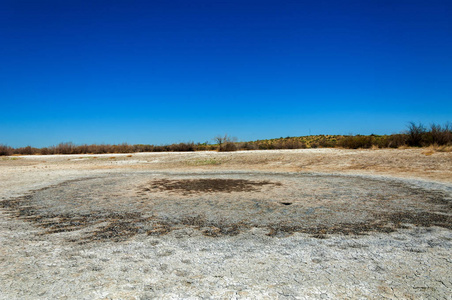 盐水 盐沼。埃托沙荒地。单一的灌木。哈萨克斯坦
