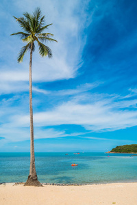 美丽的热带海滩海和沙子与椰子棕榈树在蓝天白云为旅行和假期