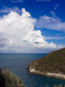 加尔加诺阿普利亚意大利的海岸的 landscapre