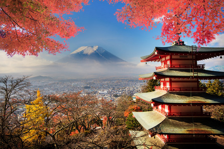 与秋天颜色在日本富士山