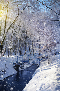 美丽的冬天风景与河图片