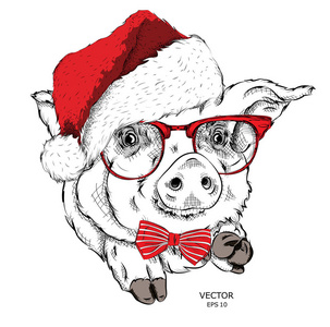 在圣诞老人帽子的猪。新年贺卡。矢量插图