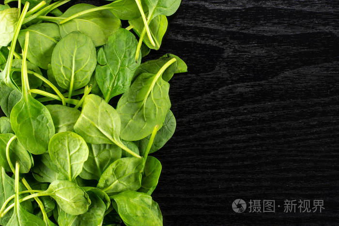 新鲜的婴孩菠菜叶子上部看法在黑木背景左四角照片 正版商用图片0un9 摄图新视界 新鲜的婴孩菠菜叶子上部看法在黑木背景左四角照片 正版商用图片0un9 摄图新视界