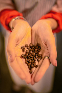 专业的咖啡师显示她干净的手与种子